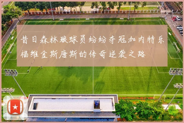 昔日森林狼球员纷纷夺冠加内特乐福维金斯唐斯的传奇逆袭之路