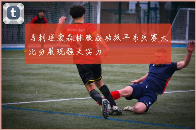 马刺逆袭森林狼成功扳平系列赛大比分展现强大实力