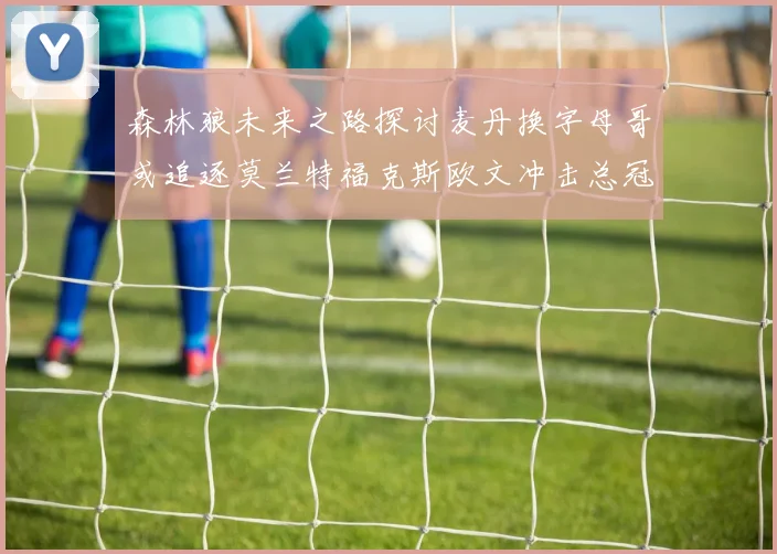 森林狼未来之路探讨麦丹换字母哥或追逐莫兰特福克斯欧文冲击总冠军